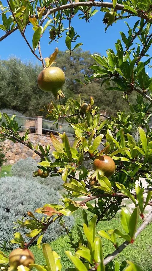 B&B Il Giardino Capalbio 0*,  Italy