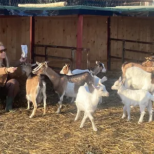 Villa Azienda Agricola I Casali Del Troscio, Capalbio